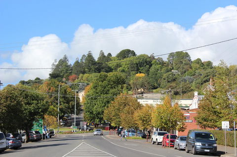 The Orchard - Sunshine Coast Tourism 29