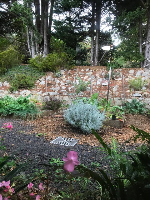 Alpine Aspects - Sunshine Coast Tourism 11