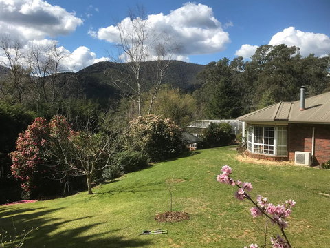 Alpine Aspects - Sunshine Coast Tourism 23