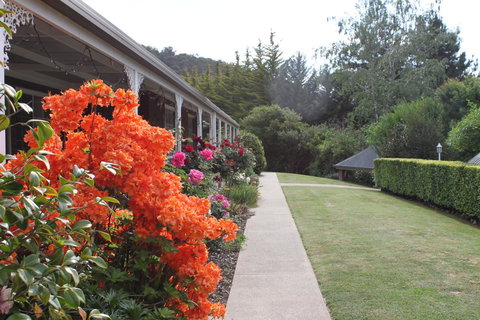 Alpine Aspects - Sunshine Coast Tourism 34