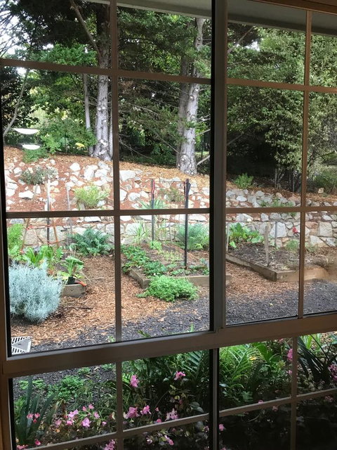 Alpine Aspects - Sunshine Coast Tourism 28