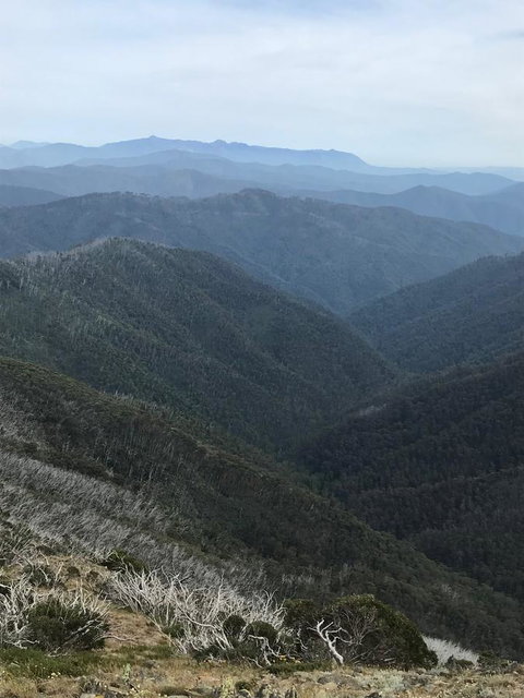 Alpine Aspects - Sunshine Coast Tourism 9