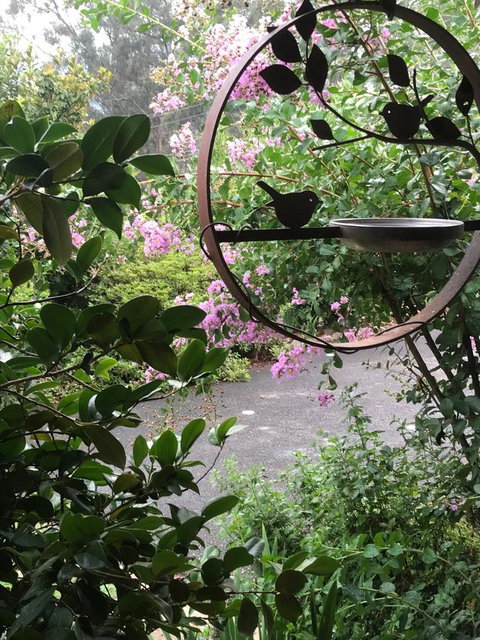 Alpine Aspects - Sunshine Coast Tourism 3