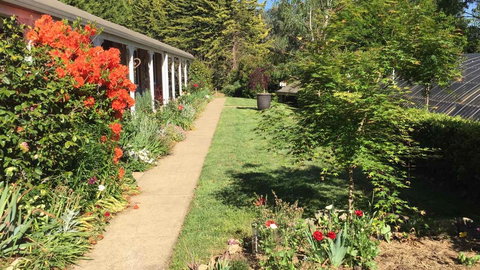 Alpine Aspects - Sunshine Coast Tourism 4