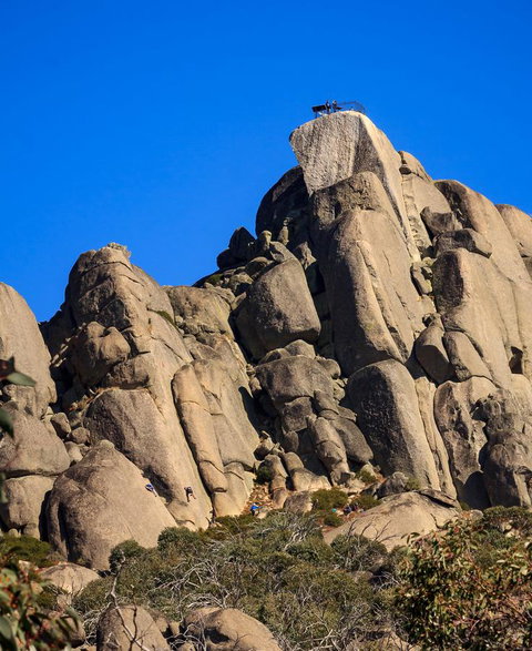 Alpine Aspects - Sunshine Coast Tourism 21