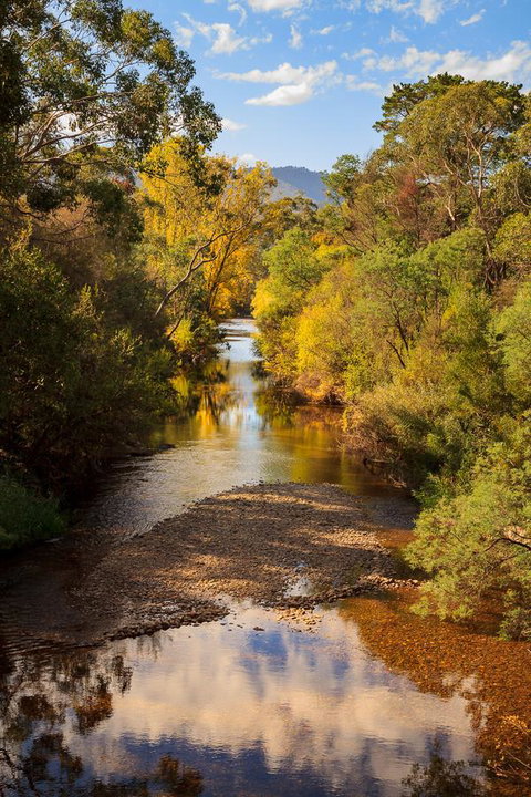 Alpine Aspects - Sunshine Coast Tourism 31