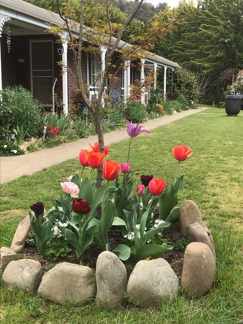 Alpine Aspects - Sunshine Coast Tourism 7