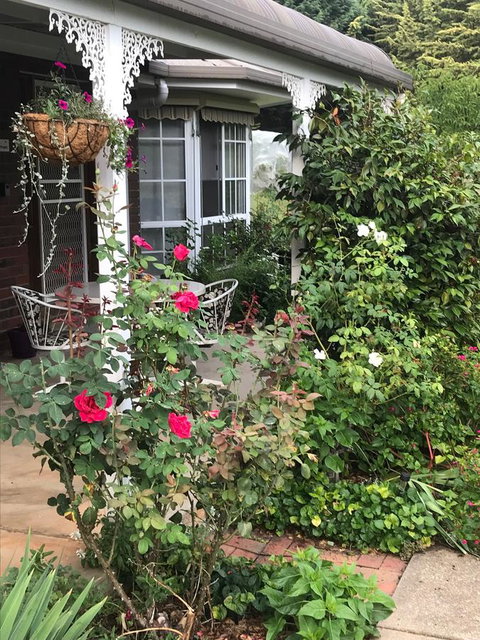 Alpine Aspects - Sunshine Coast Tourism 30