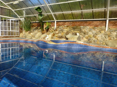 Alpine Aspects - Sunshine Coast Tourism 39