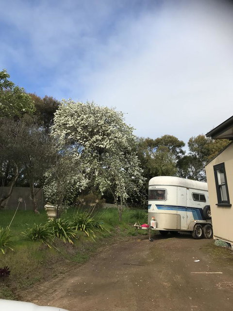 Hillâ€™s Creek Holiday Home - Sunshine Coast Tourism 6