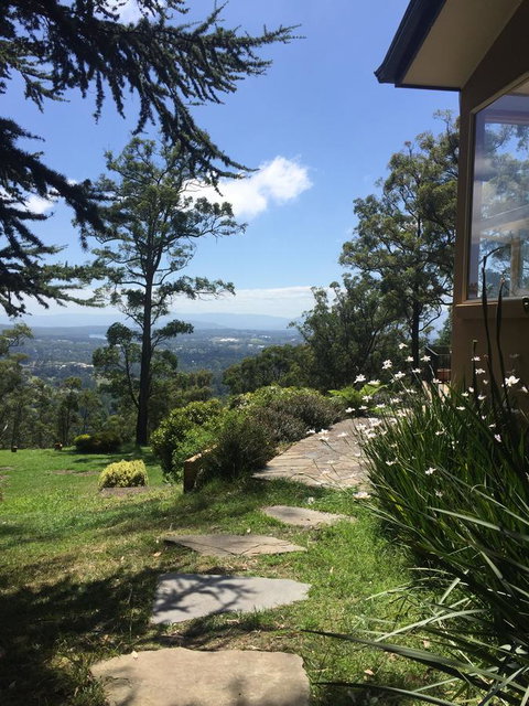 The Dan - Sunshine Coast Tourism 24