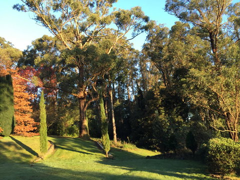 The Dan - Sunshine Coast Tourism 23