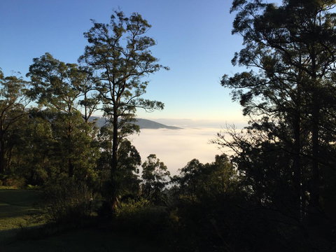 The Dan - Sunshine Coast Tourism 25