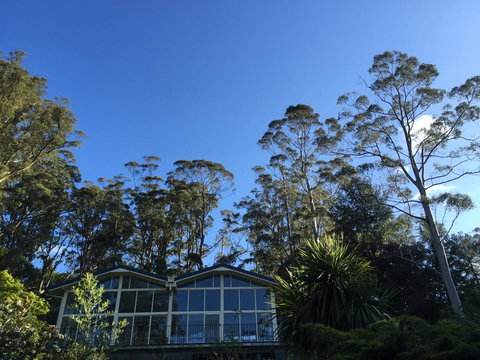 The Dan - Sunshine Coast Tourism 17