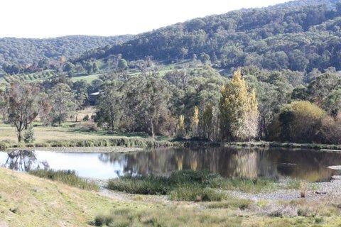Aspens Springs Farmstay - Holiday Sunshine Coast 29