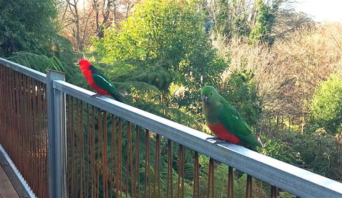 Beautiful View House - Sunshine Coast Tourism 11