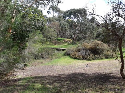 Elevated Holiday House Overlooks Tranquil Wetlands - Sunshine Coast Tourism 11