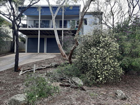 Elevated Holiday House Overlooks Tranquil Wetlands - Sunshine Coast Tourism 0