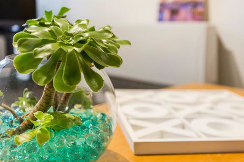 Melbourne Villa - Holiday Sunshine Coast 15