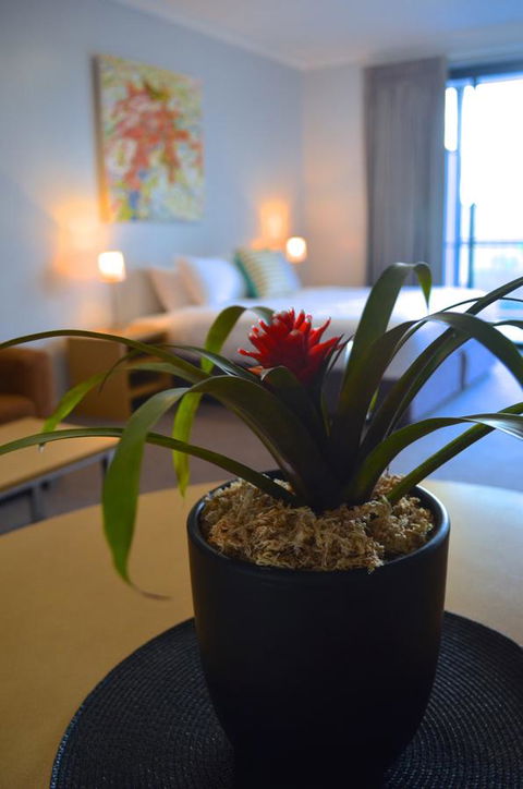 Mansfield Apartments - Sunshine Coast Tourism 21