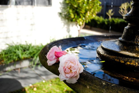 Bed Of Roses - Sunshine Coast Tourism 35