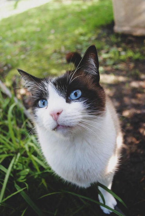 Bed Of Roses - Sunshine Coast Tourism 31