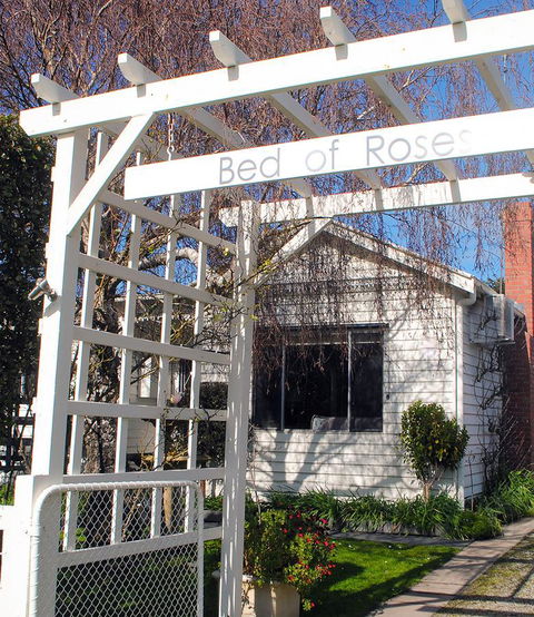 Bed Of Roses - Sunshine Coast Tourism 30