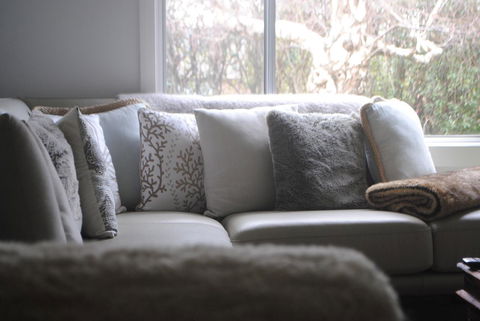 Bed Of Roses - Sunshine Coast Tourism 26