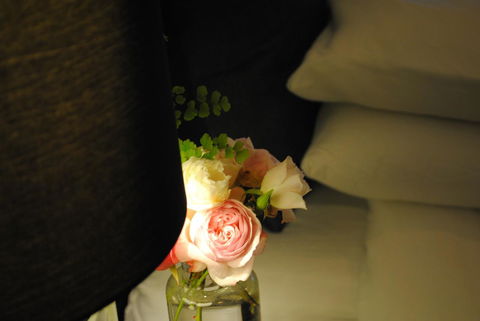 Bed Of Roses - Sunshine Coast Tourism 23