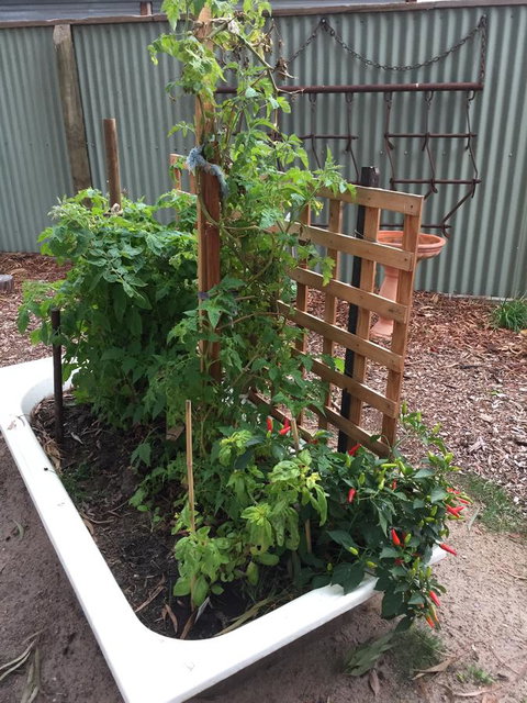 Grampians Pomonal Cottages - Sunshine Coast Tourism 28