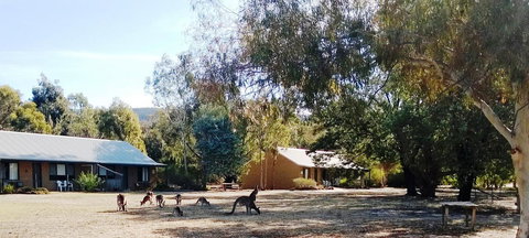 Grampians Pomonal Cottages - Sunshine Coast Tourism 6