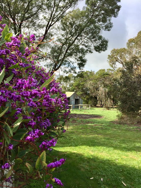 Grampians Pomonal Cottages - Sunshine Coast Tourism 21