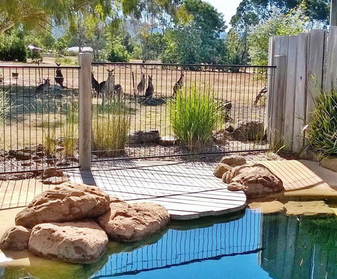 Grampians Pomonal Cottages - Sunshine Coast Tourism 24