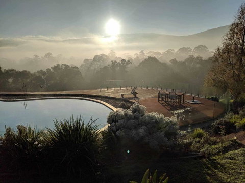 Kangaroo Manor - Sunshine Coast Tourism 6