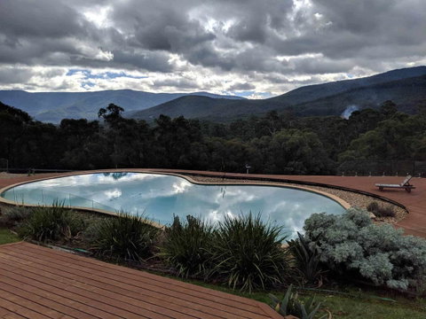Kangaroo Manor - Sunshine Coast Tourism 7