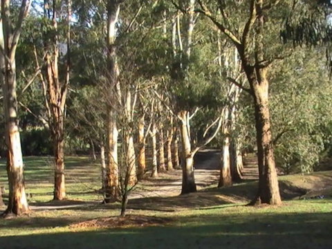Kangaroo Manor - Sunshine Coast Tourism 21