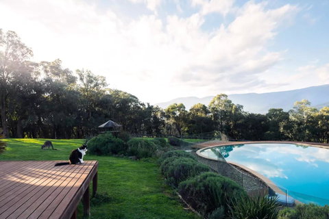 Kangaroo Manor - Sunshine Coast Tourism 23