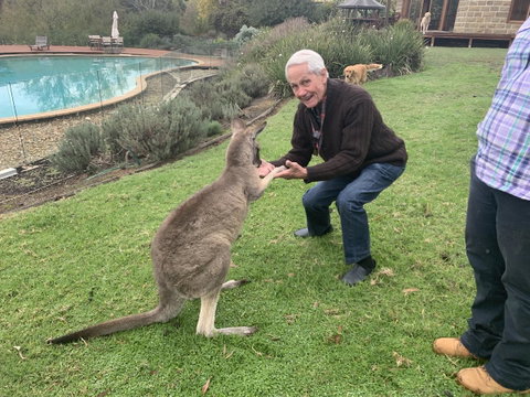 Kangaroo Manor - Sunshine Coast Tourism 13