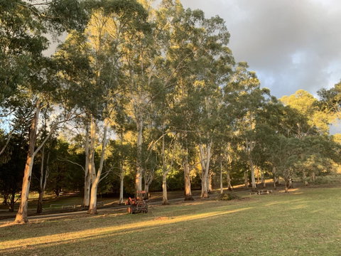 Kangaroo Manor - Sunshine Coast Tourism 15