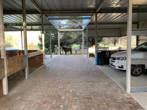 Kangaroo Manor - Sunshine Coast Tourism 1