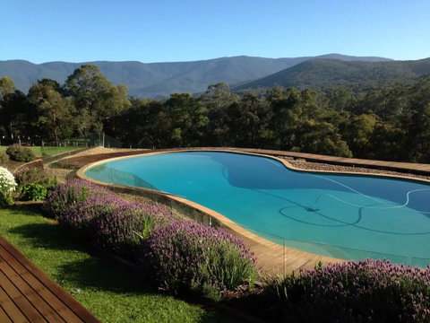 Kangaroo Manor - Sunshine Coast Tourism 14