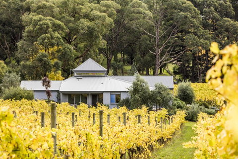 Polperro Villas - Sunshine Coast Tourism 22