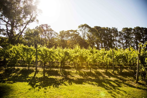 Polperro Villas - Sunshine Coast Tourism 18