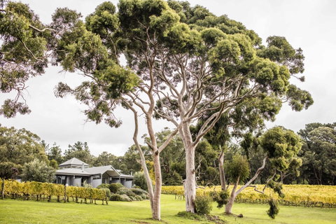 Polperro Villas - Sunshine Coast Tourism 20