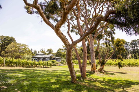Polperro Villas - Sunshine Coast Tourism 17