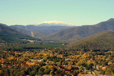 3 Bells Alpine Cottage - Sunshine Coast Tourism 24