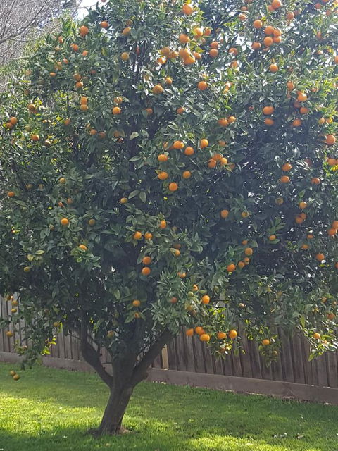 Juliet House - Sunshine Coast Tourism 21