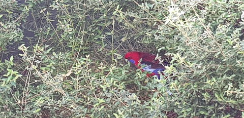 Torquay Timeout - Sunshine Coast Tourism 16