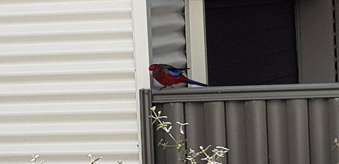 Torquay Timeout - Sunshine Coast Tourism 15