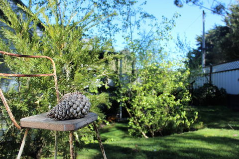 Cottage 4A - Sunshine Coast Tourism 13